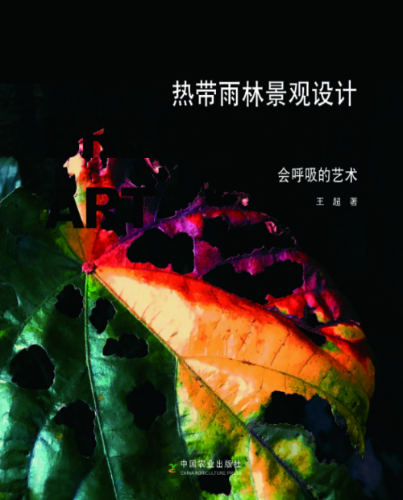 熱帶雨林景觀設(shè)計(jì)